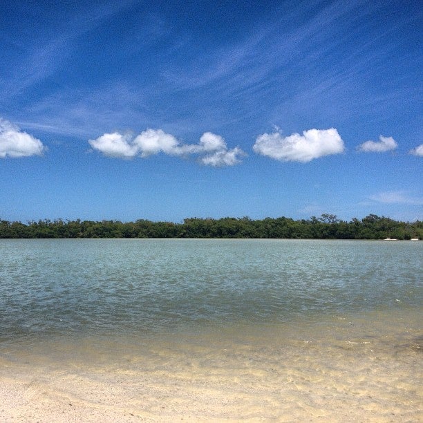 
Isla de la Pasion
 in Holbox Island