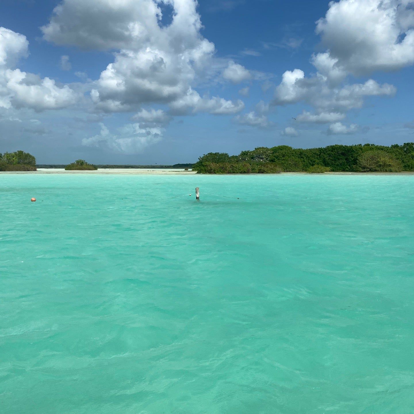 
Isla de los pájaros
 in Bacalar