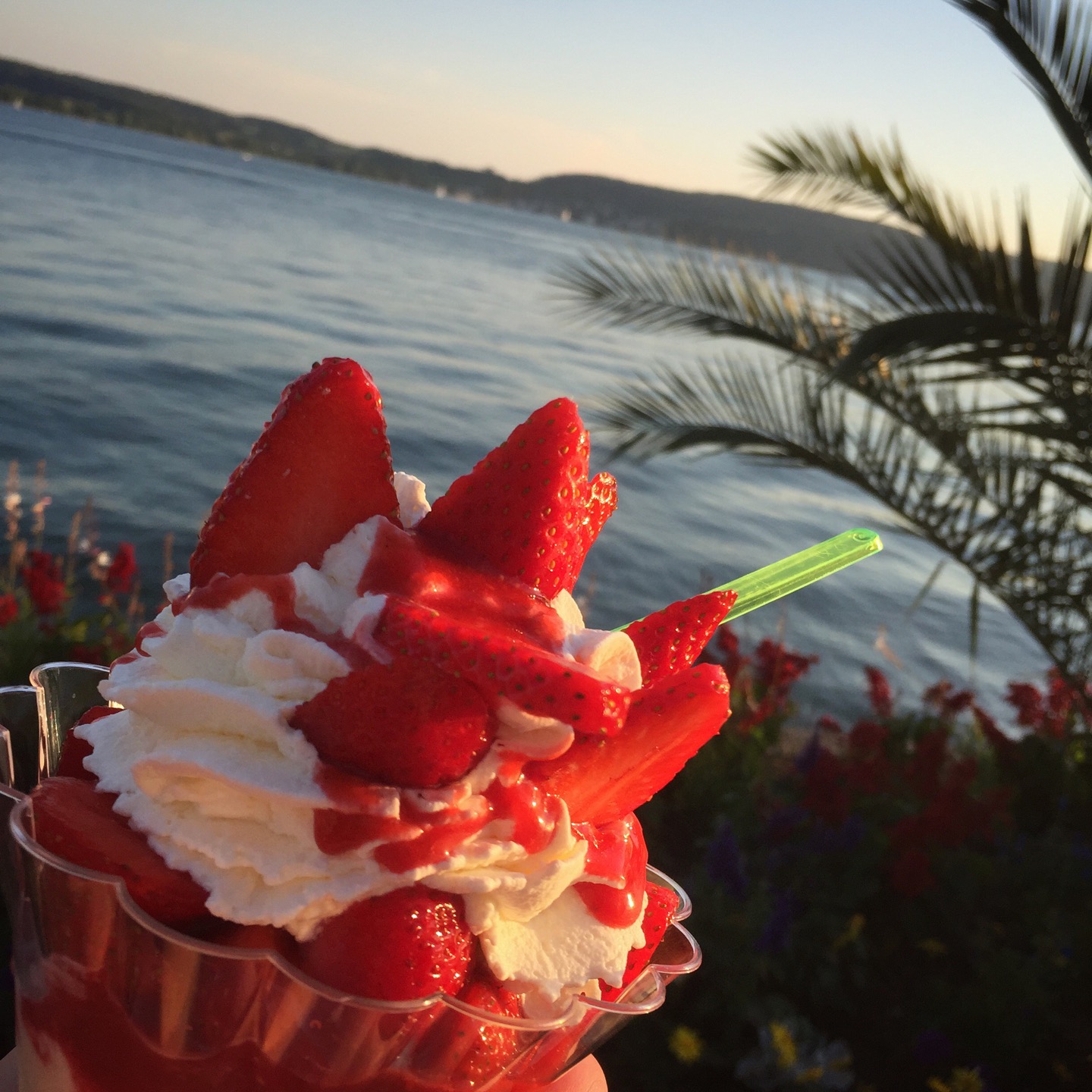 
Ital Eis Paradies
 in Lake Constance Cycle Path