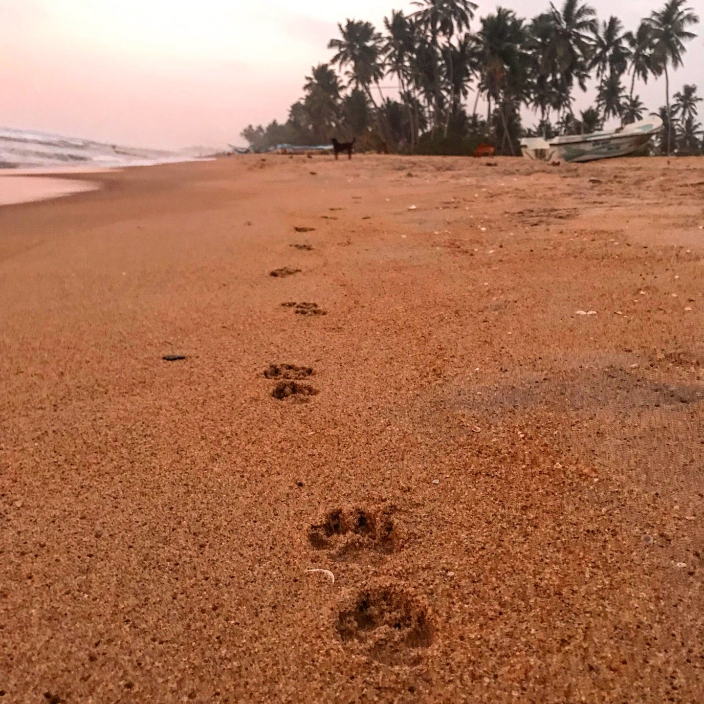 
Jani Rest
 in Kalutara District