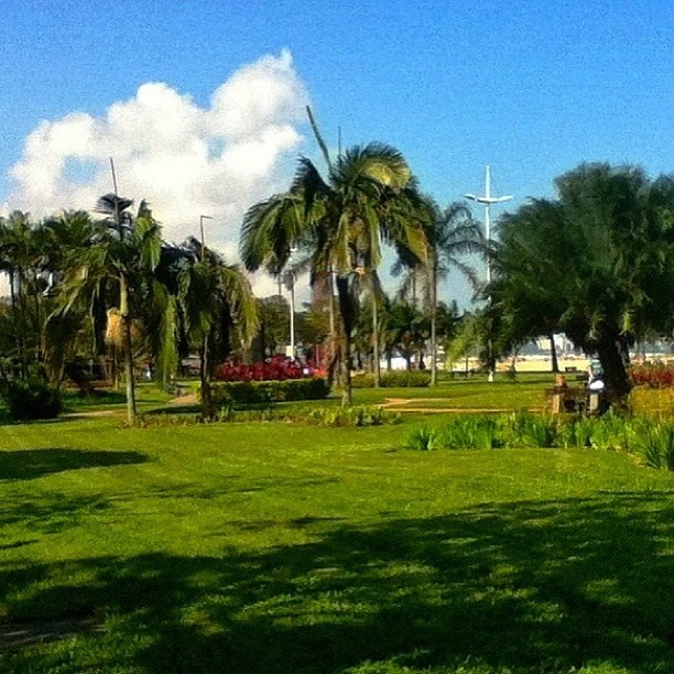 
Jardim da Orla de Santos
 in Santos