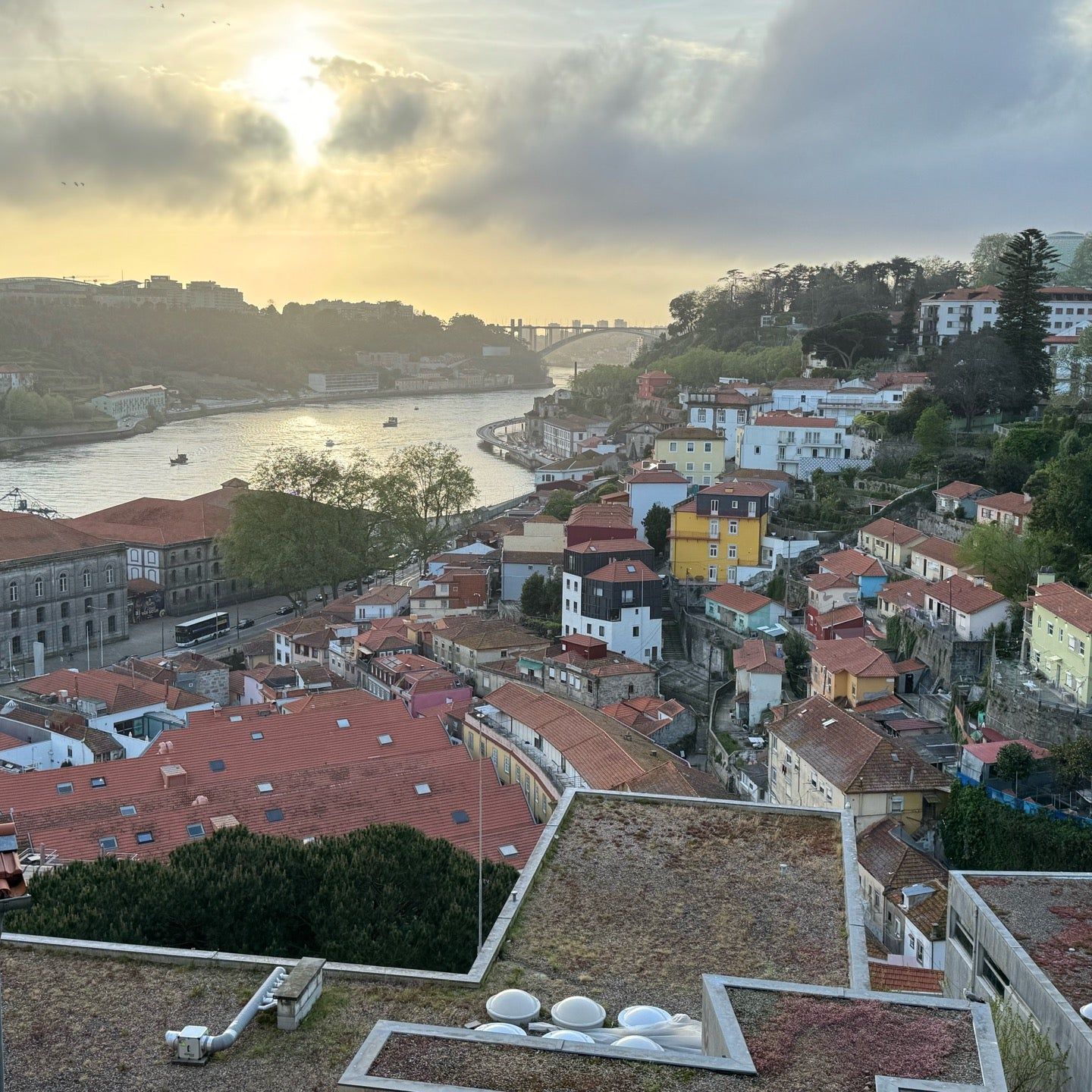 
Jardim das Virtudes
 in Porto District