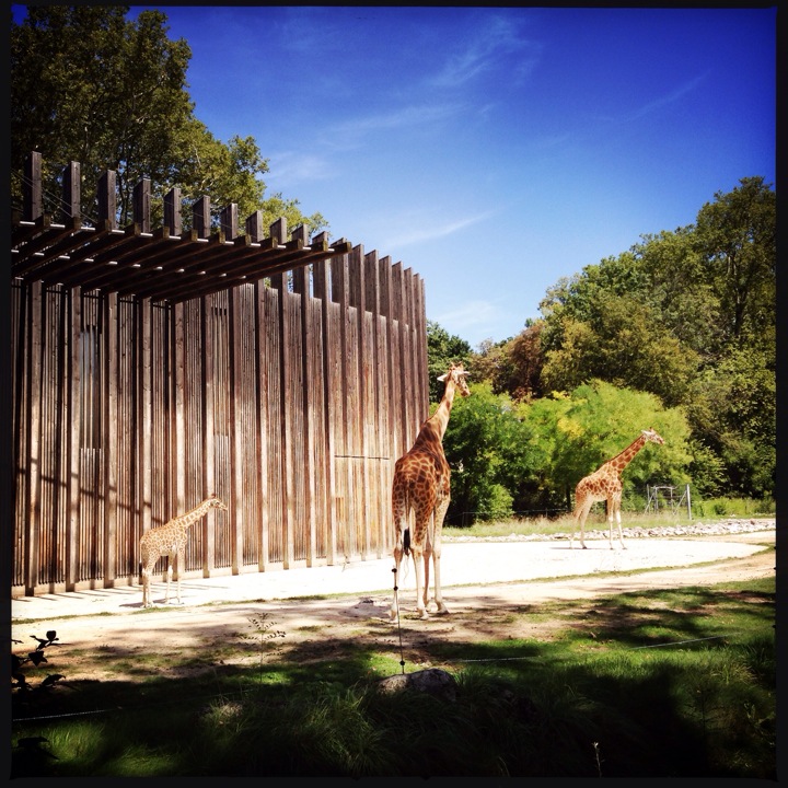 
Jardin Zoologique de la Tête d'Or
 in Grand Lyon Agglomération