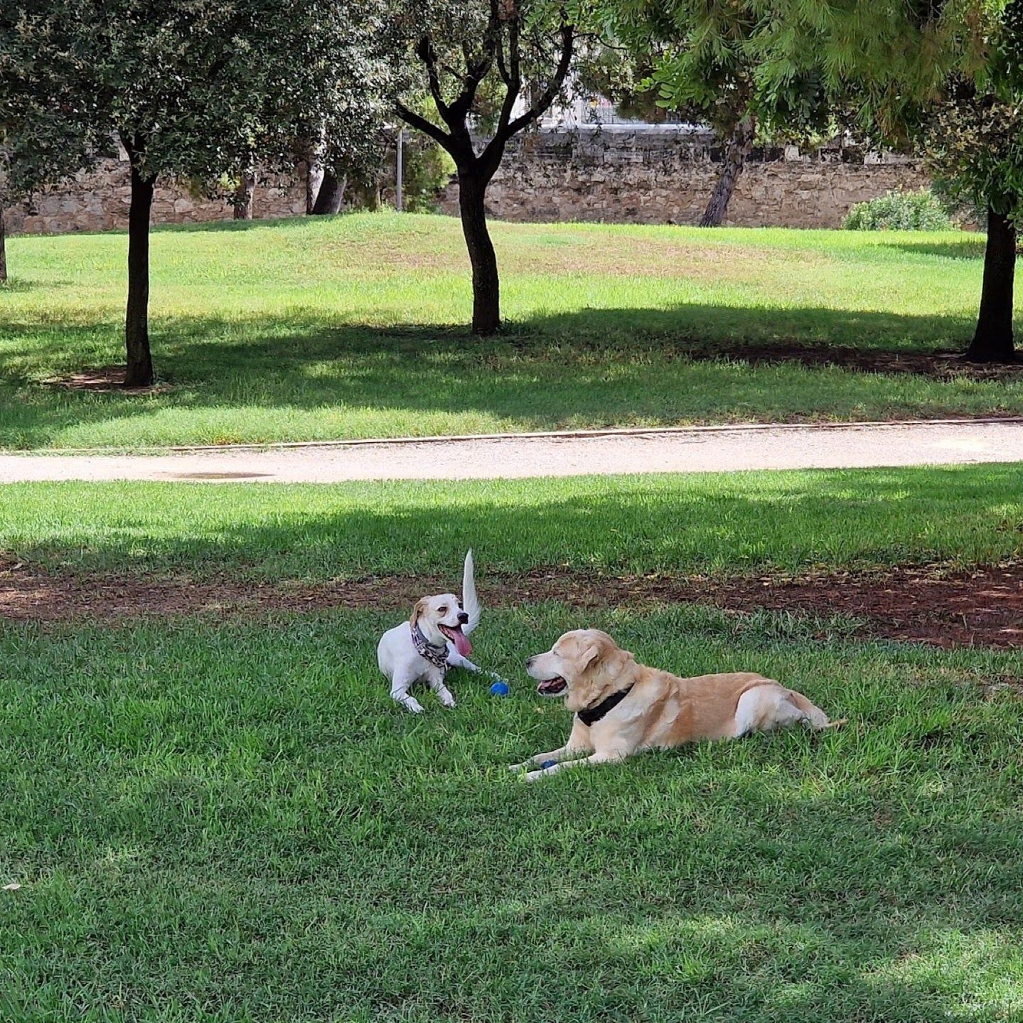 
Jardines del Túria
 in Valencia