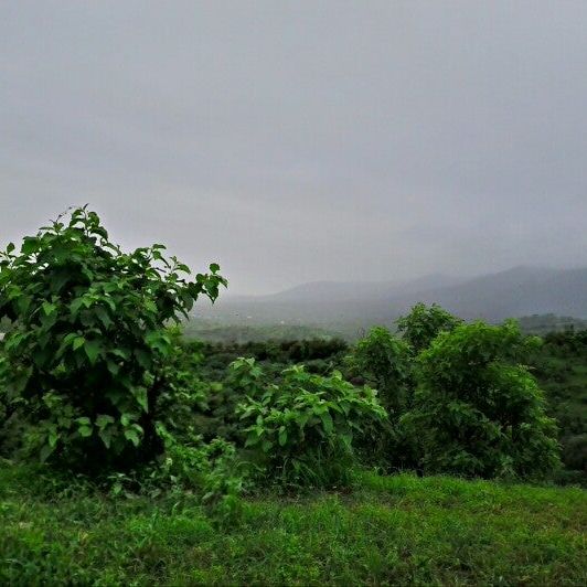 
جبل آتين
 in Oman