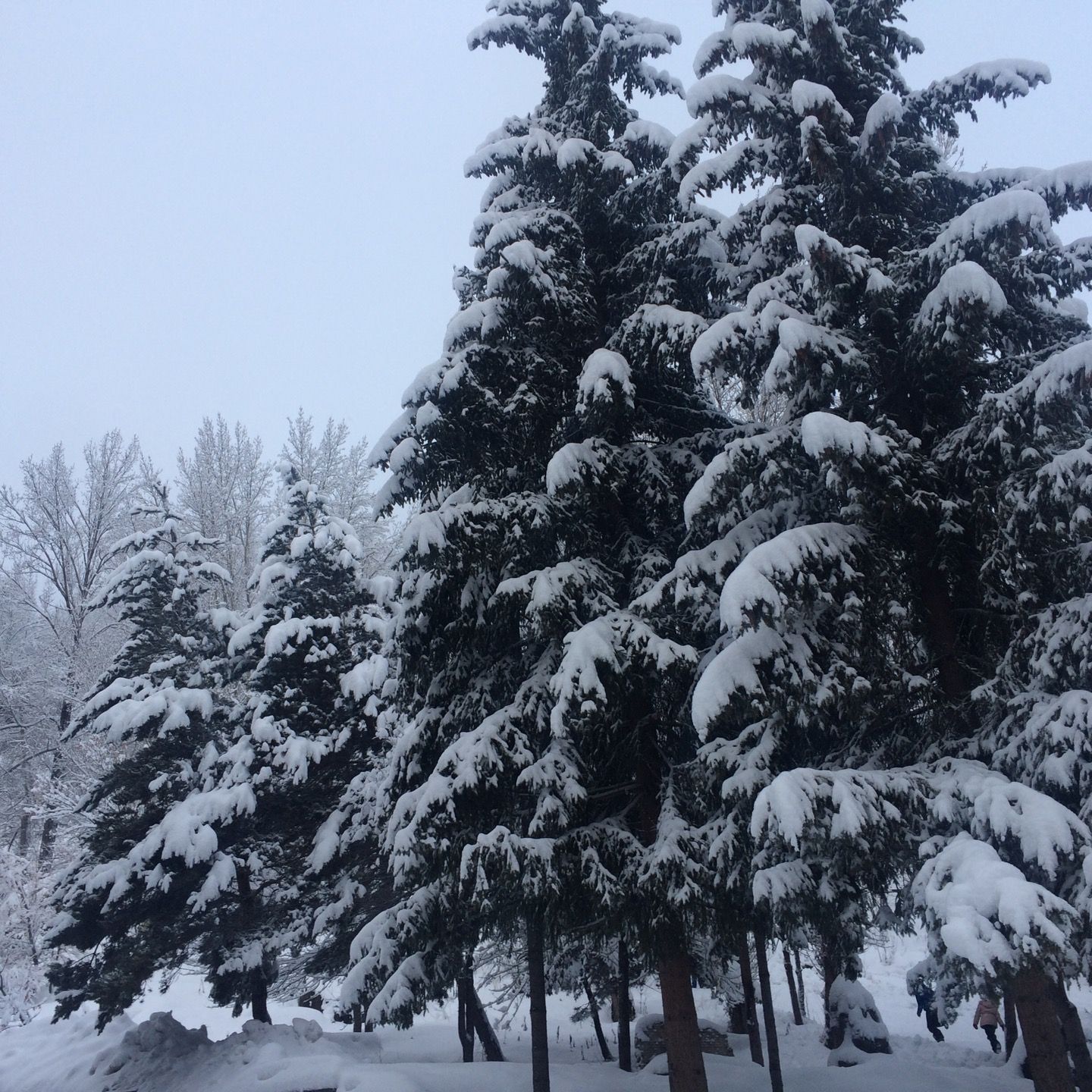 
Jermuk | Ջերմուկ
 in Jermuk