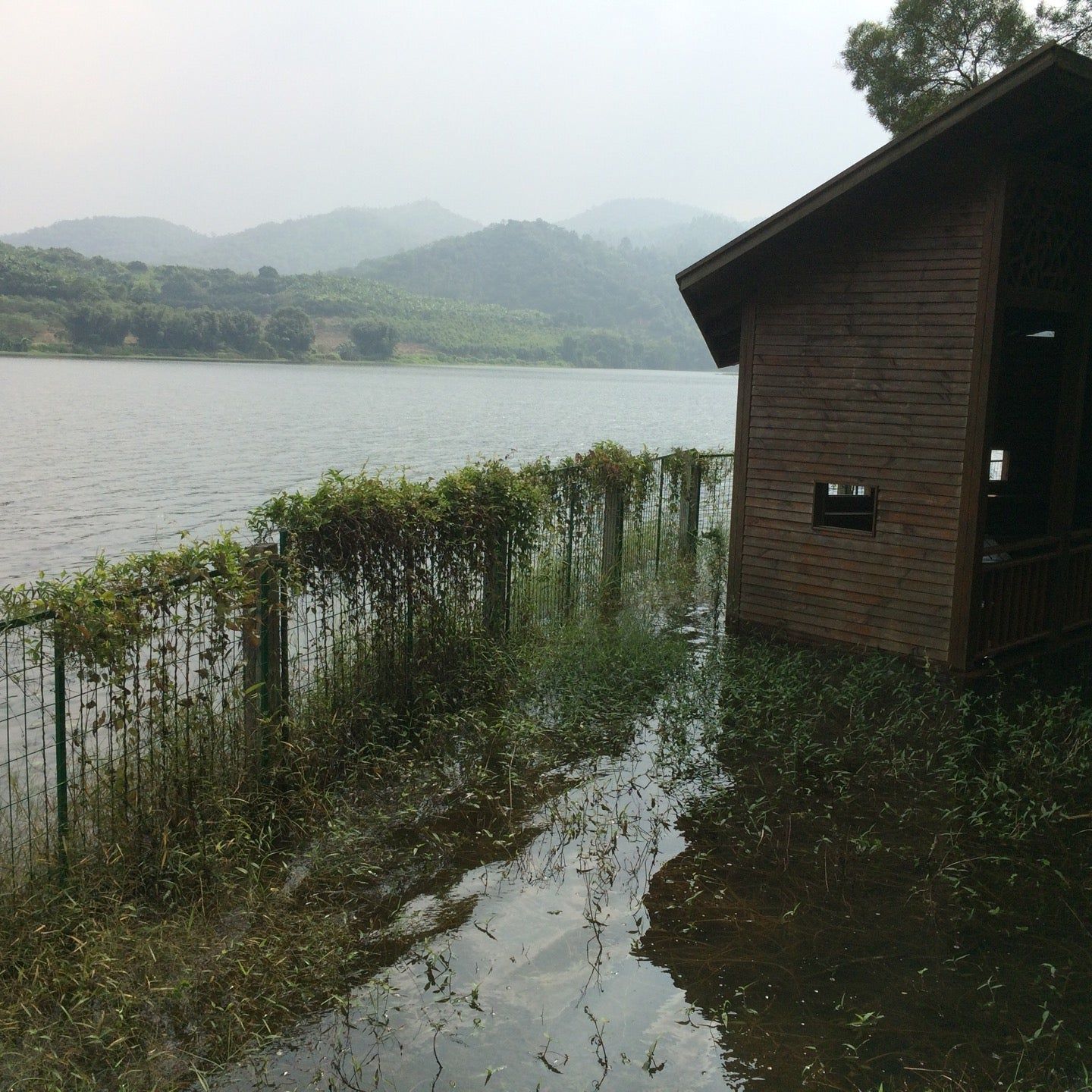 
金钟水库
 in Zhongshan