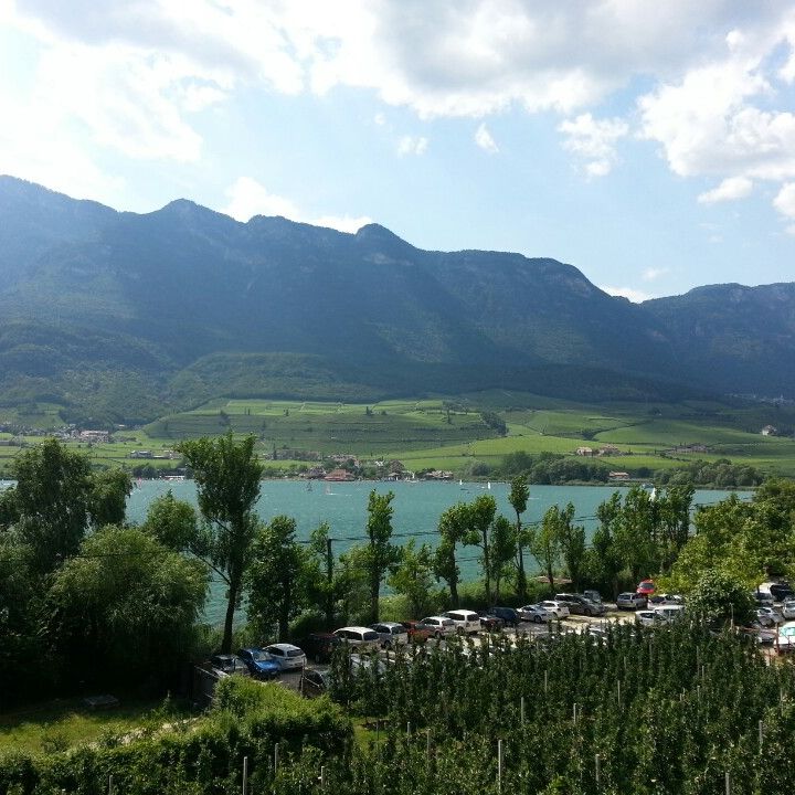 
Kalterer See / Lago di Caldaro (Lago di Caldaro)
 in Lake Caldaro