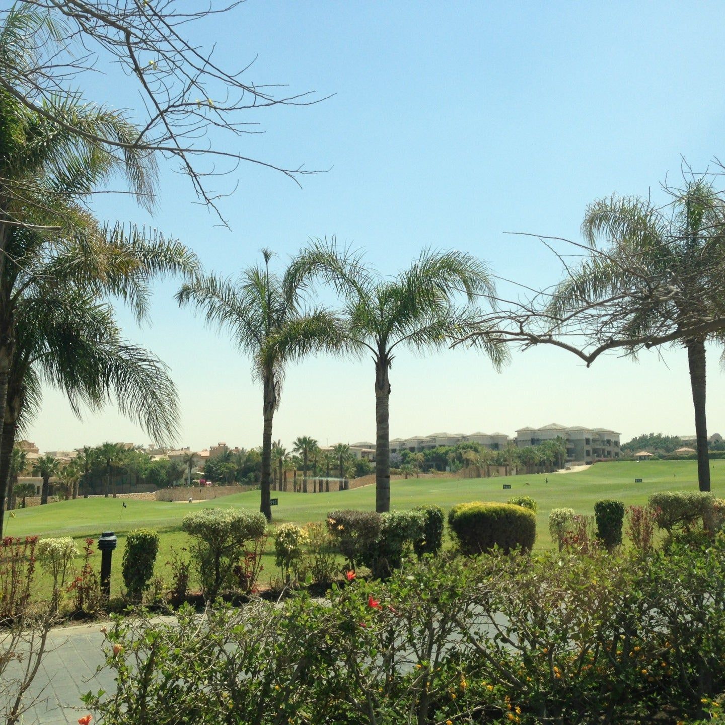 
Katameya Heights Golf Resort
 in Cairo