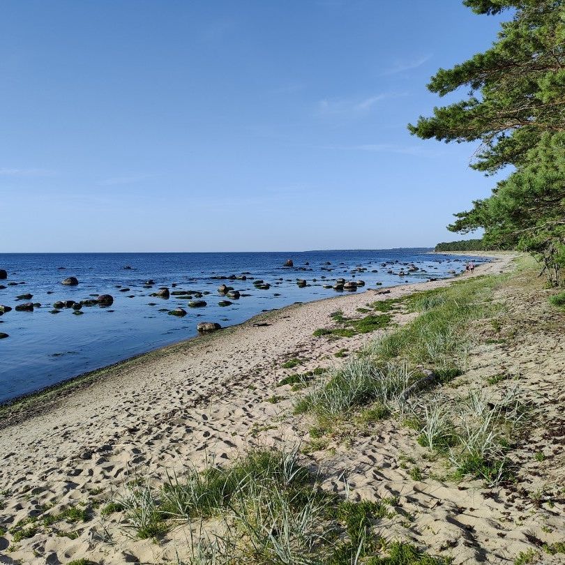 
Keila-Joa Rand
 in Baltic Sea