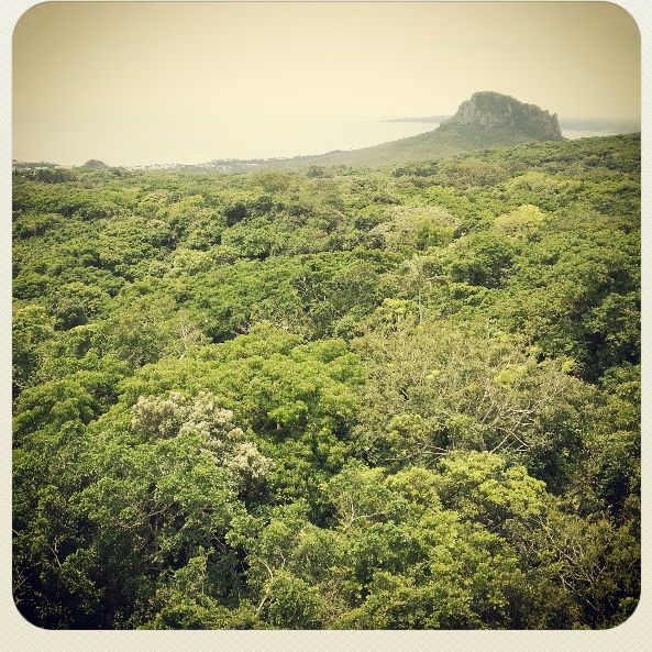 
Kenting National Forest Recreation Area (墾丁國家森林遊樂區)
 in Kenting