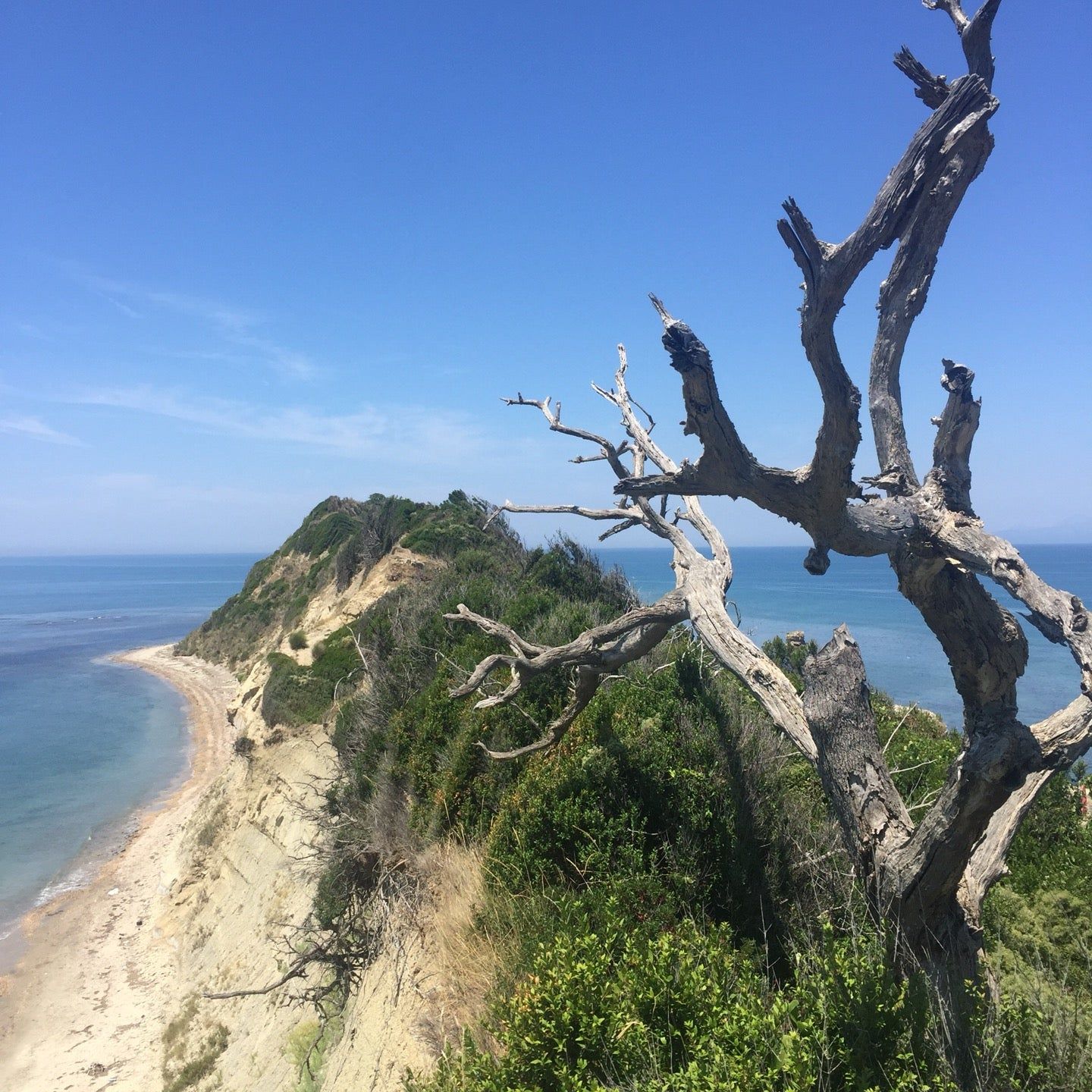 
Kepi i Rodonit
 in Durres County