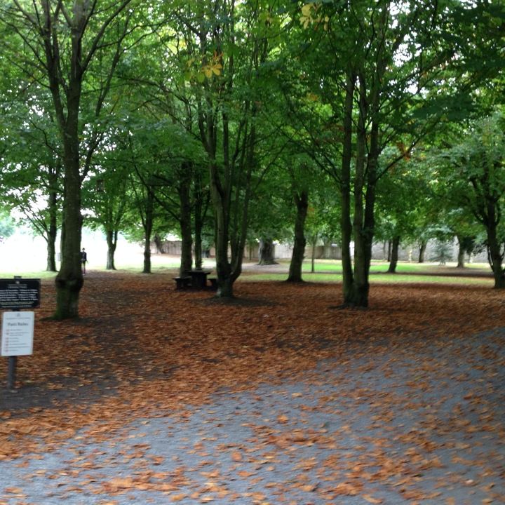 
Kilkenny Castle Park
 in Kilkenny