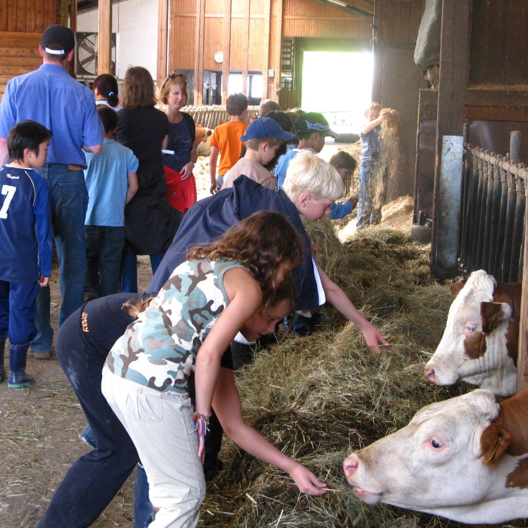 
Kindergeburtstage auf dem Schepperhof
 in Landkreis Karlsruhe