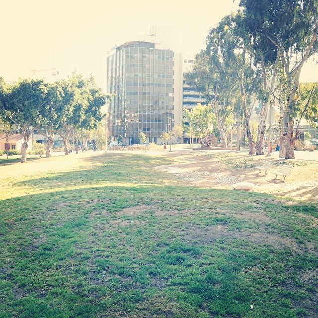 
Kiryat Sefer Park (פארק קריית ספר)
 in Tel Aviv