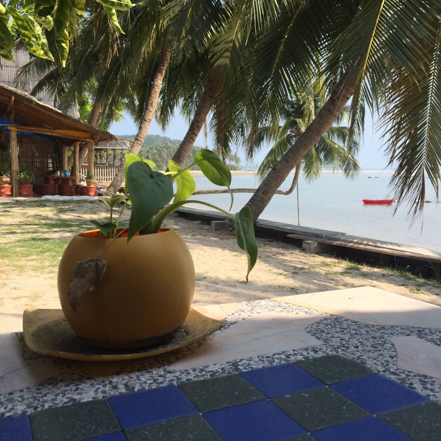 
Koh tan cuisine
 in Taling Ngam Beach