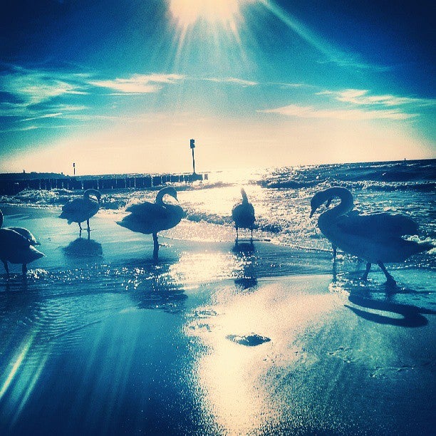 
Kołobrzeg - Plaża wschodnia
 in Kołobrzeg