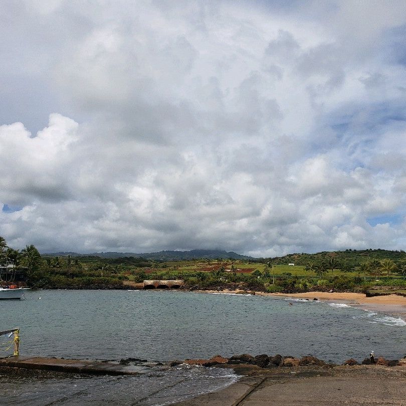 
Kukui'ula Small Boat Harbor
 in Koloa