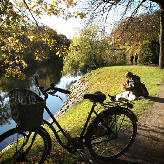 
Kungsparken
 in Malmö