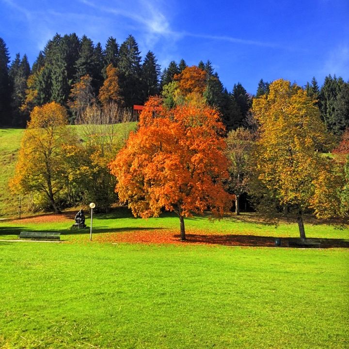 
Kurpark
 in Oberstaufen