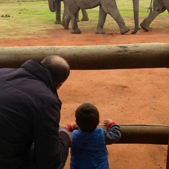 
Kwantu Elephant Sanctuary
 in Greater Addo