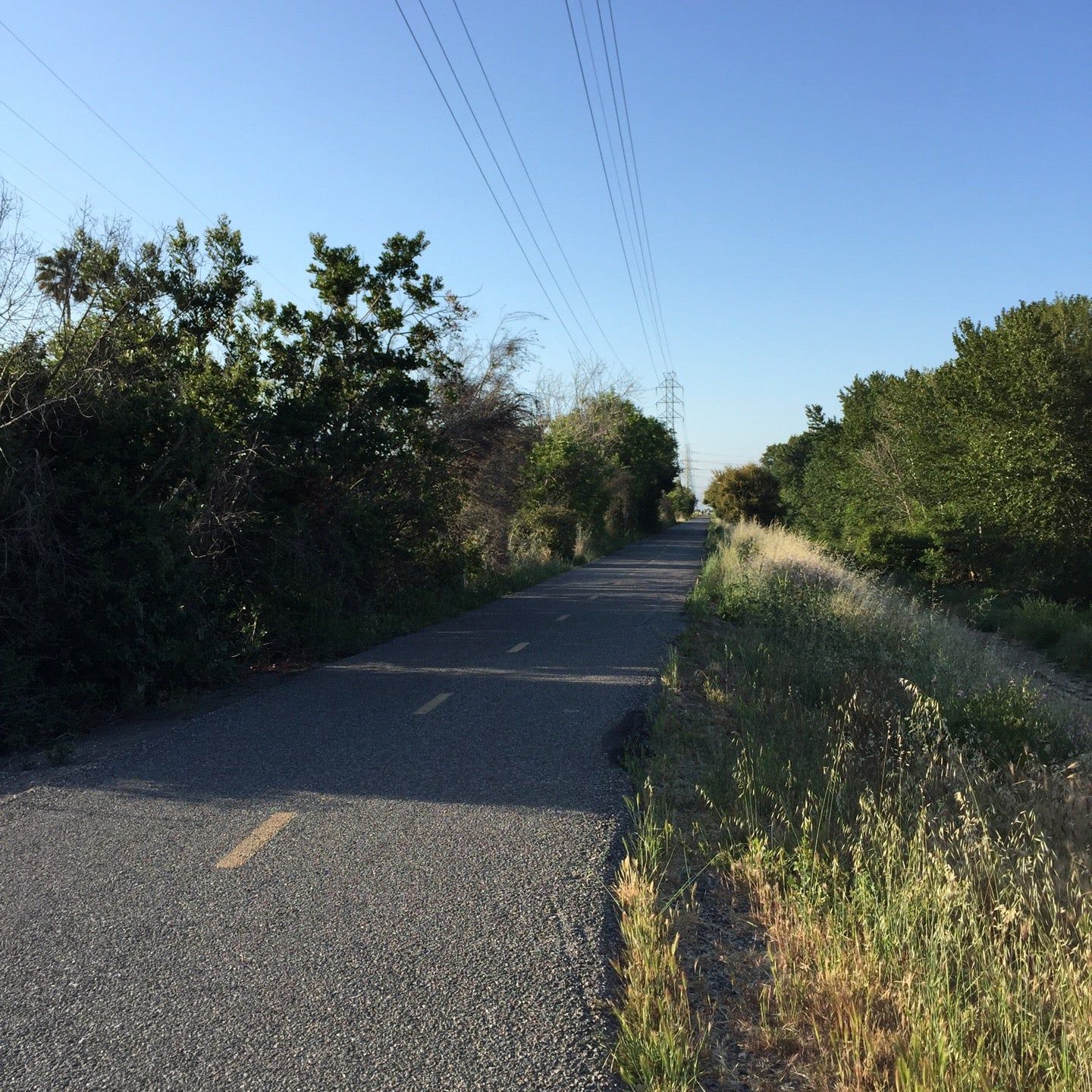 
La Avenida Trailhead
 in Silicon Valley