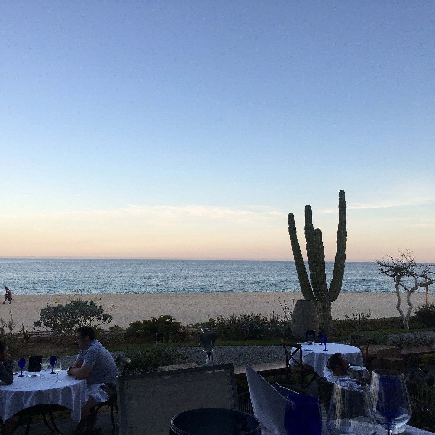 
La Deriva
 in San José Del Cabo