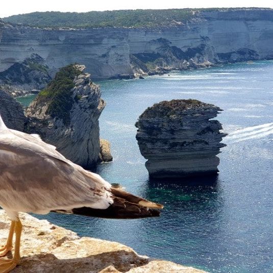 
La Manichella
 in Bonifacio