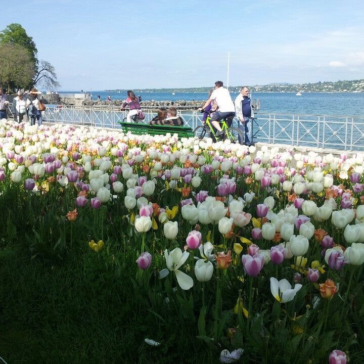 
La Perle du Lac
 in Viarhona