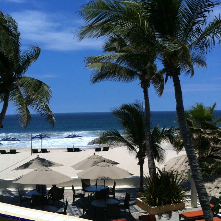 
La Playa in Cabo
 in San José Del Cabo