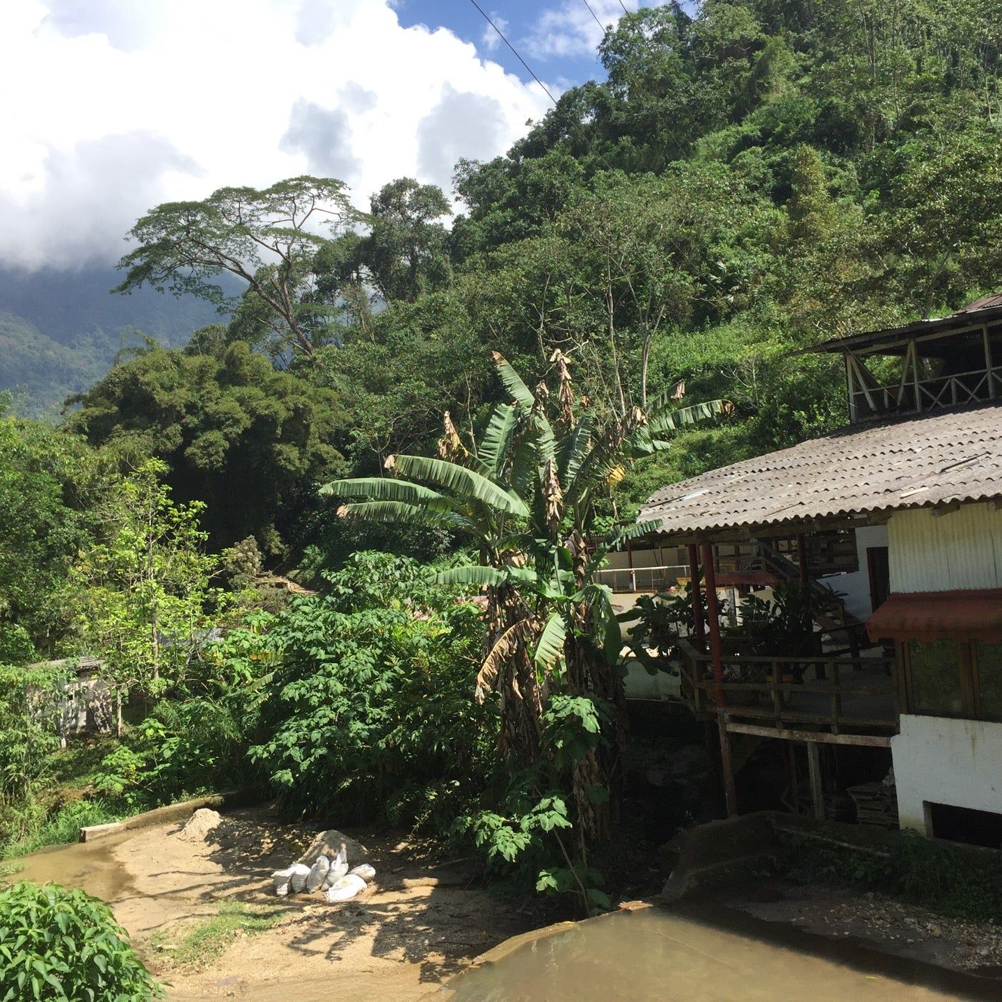 
La Victoria Finca de Café
 in Magdalena