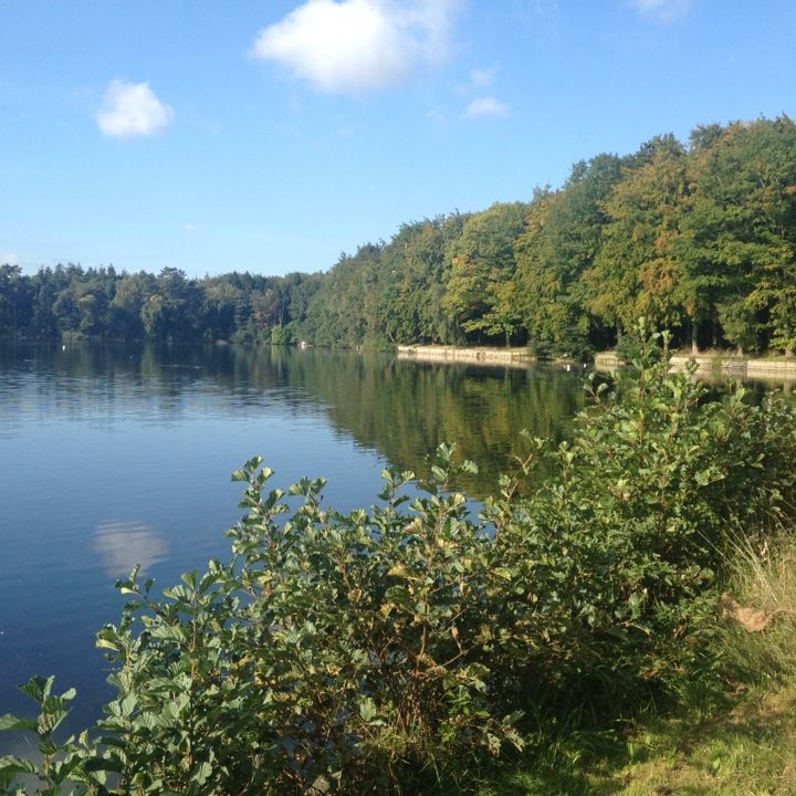 
Lac van Loppem
 in Bruges