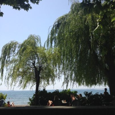 
Lago di Bolsena - Spiaggia Lato Nord
 in Bolsena