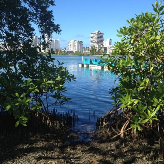 
Laguna del Condado
 in North Puerto Rico