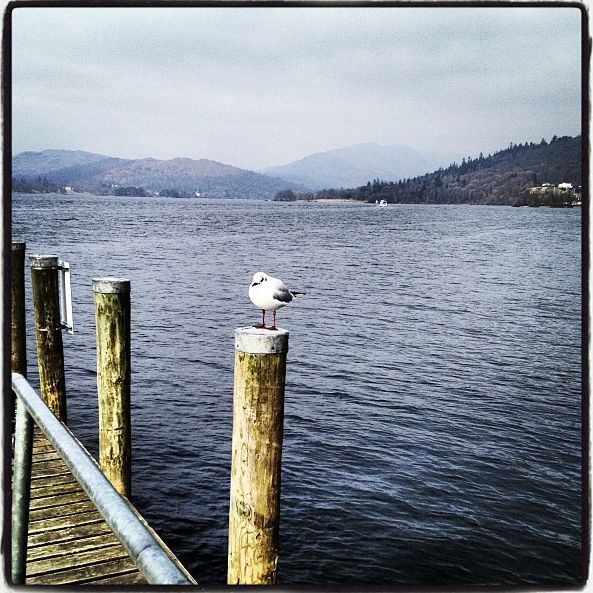 
Lake District Visitor Centre
 in Ambleside