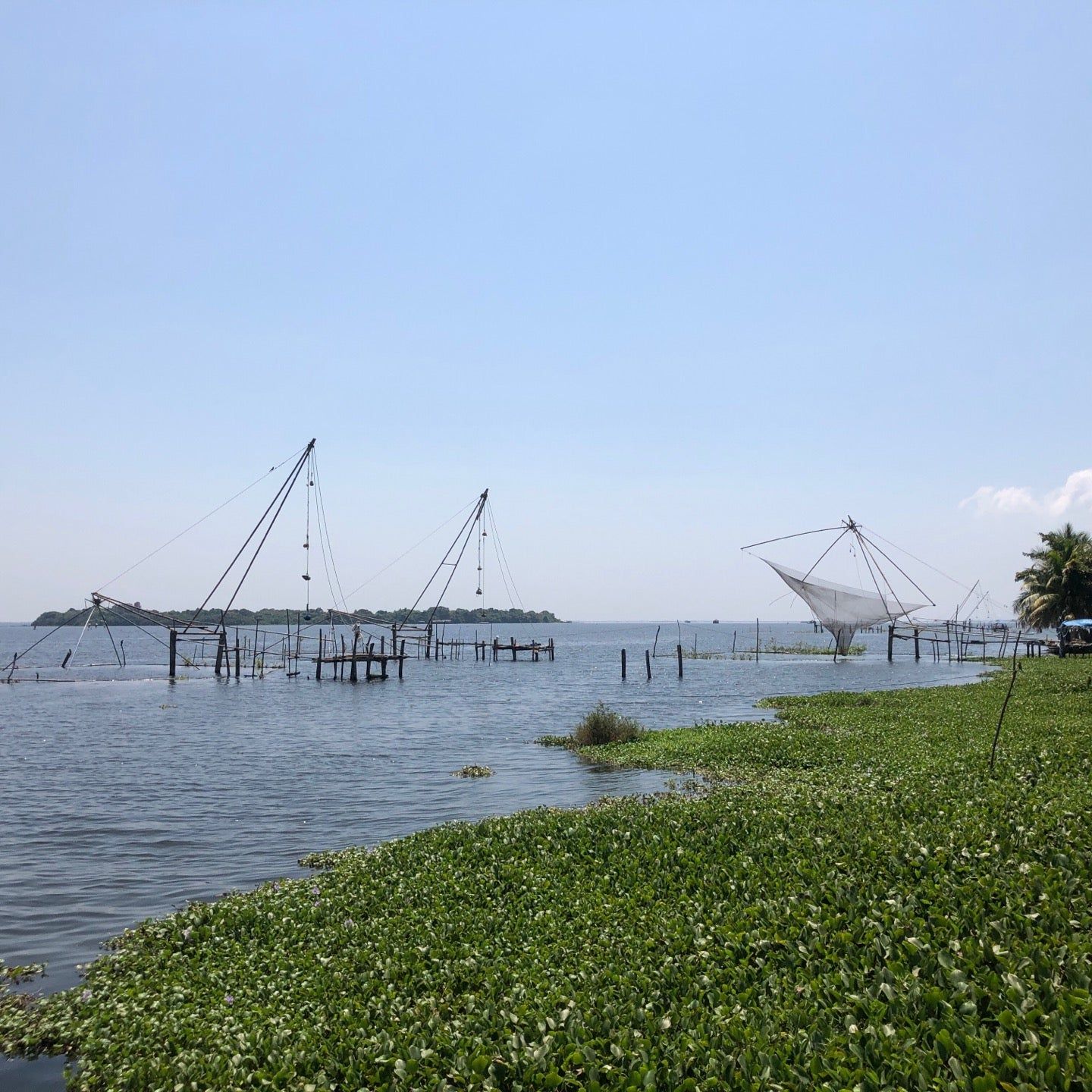 
Lake Vembanad
 in Kumarakom