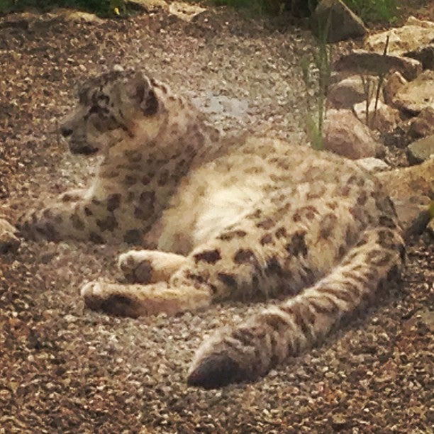 
Lakeland Wildlife Oasis
 in Lancashire