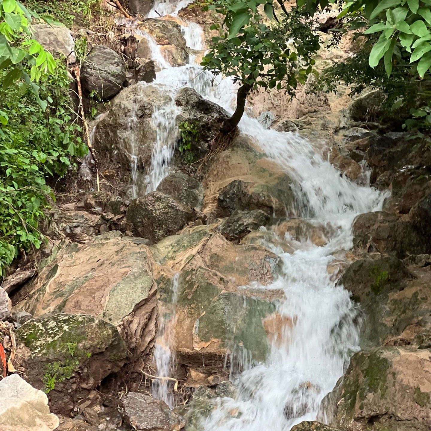 
Lakshman Jhula | लक्ष्मण झूला
 in Punjab, North