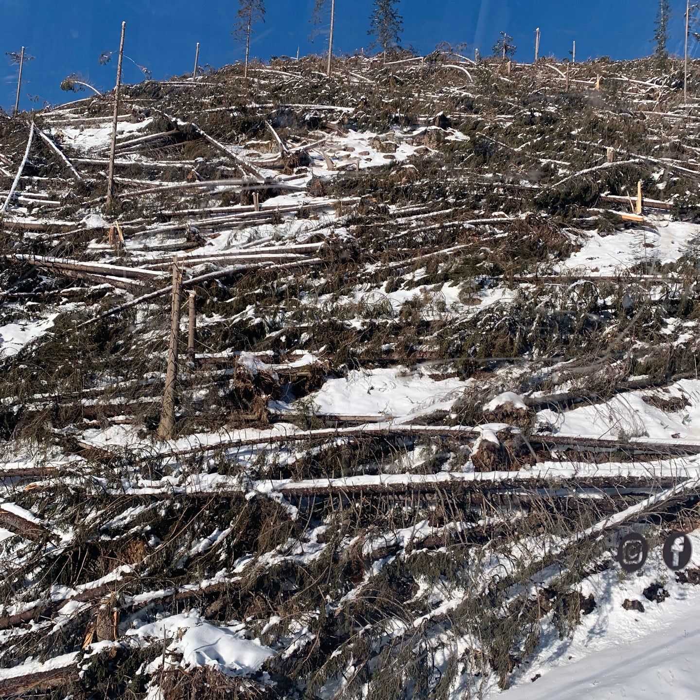 
Laurin 1
 in Dolomiti Superski