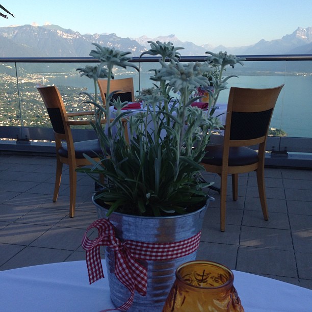 
Le Trianon Gourmet Restaurant
 in Vevey