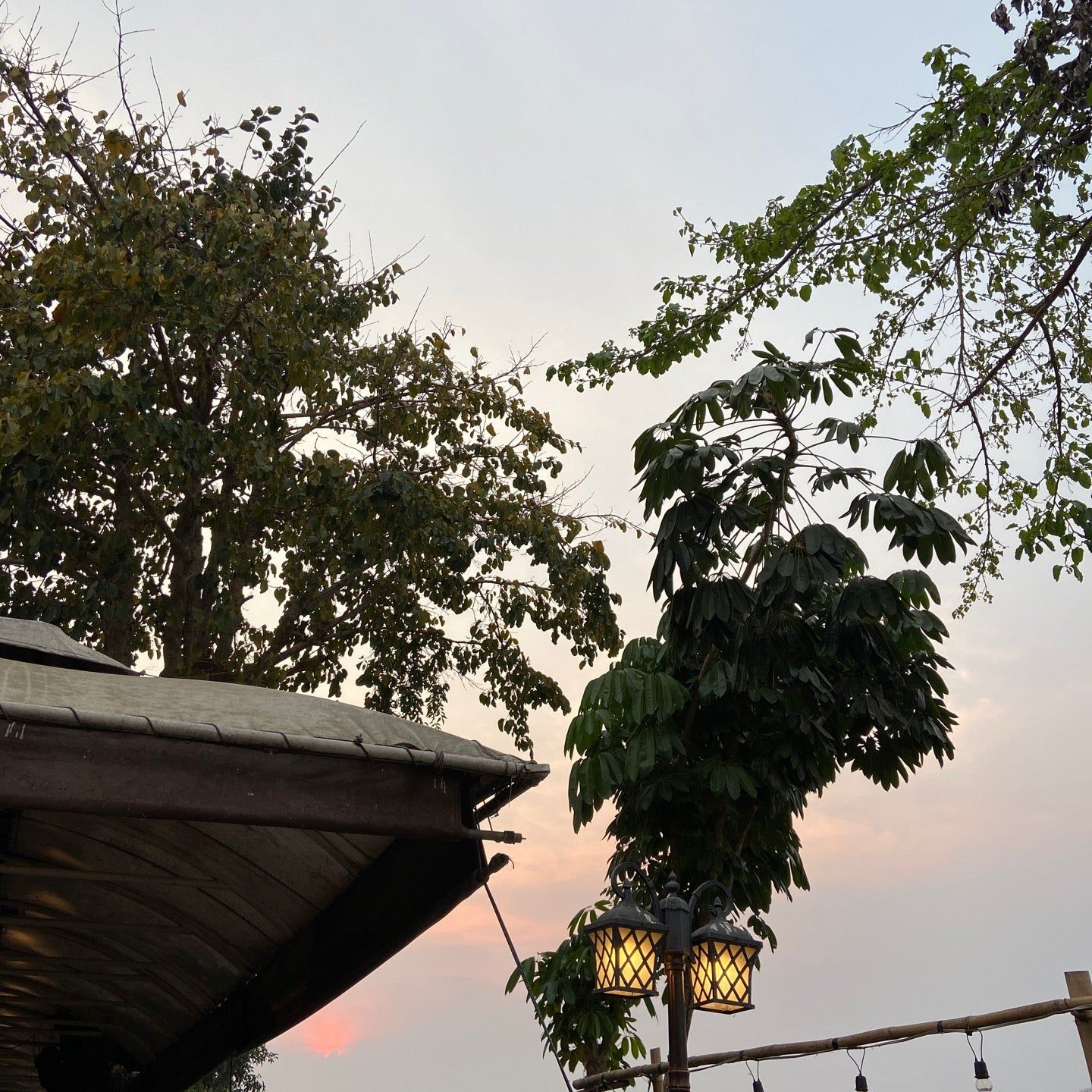 
Leelawadee Restaurant
 in Chiang Rai