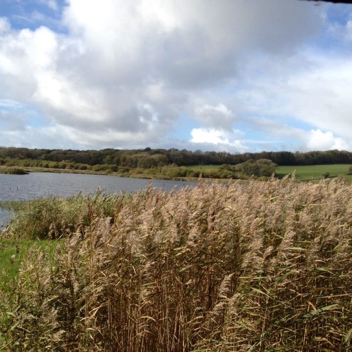 
Leighton Moss RSPB Reserve
 in Lancashire