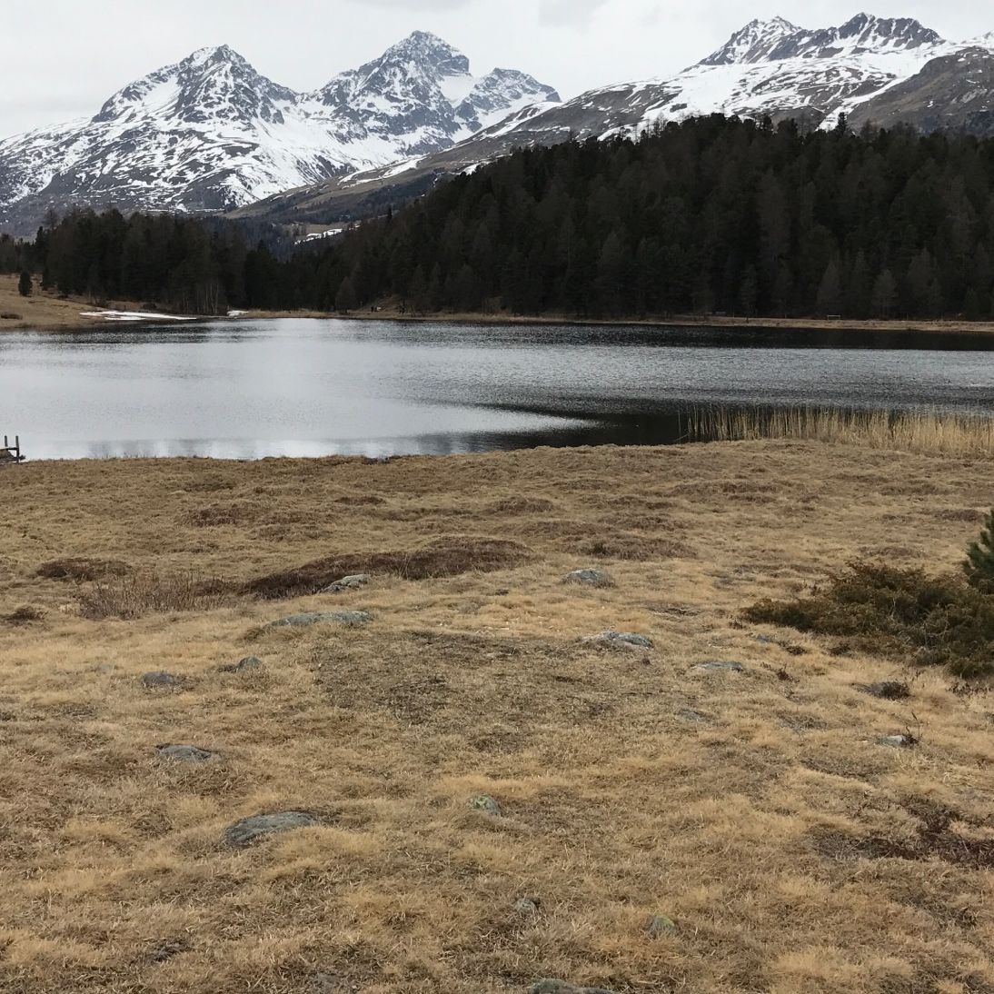 
Lej Da Staz
 in Pontresina