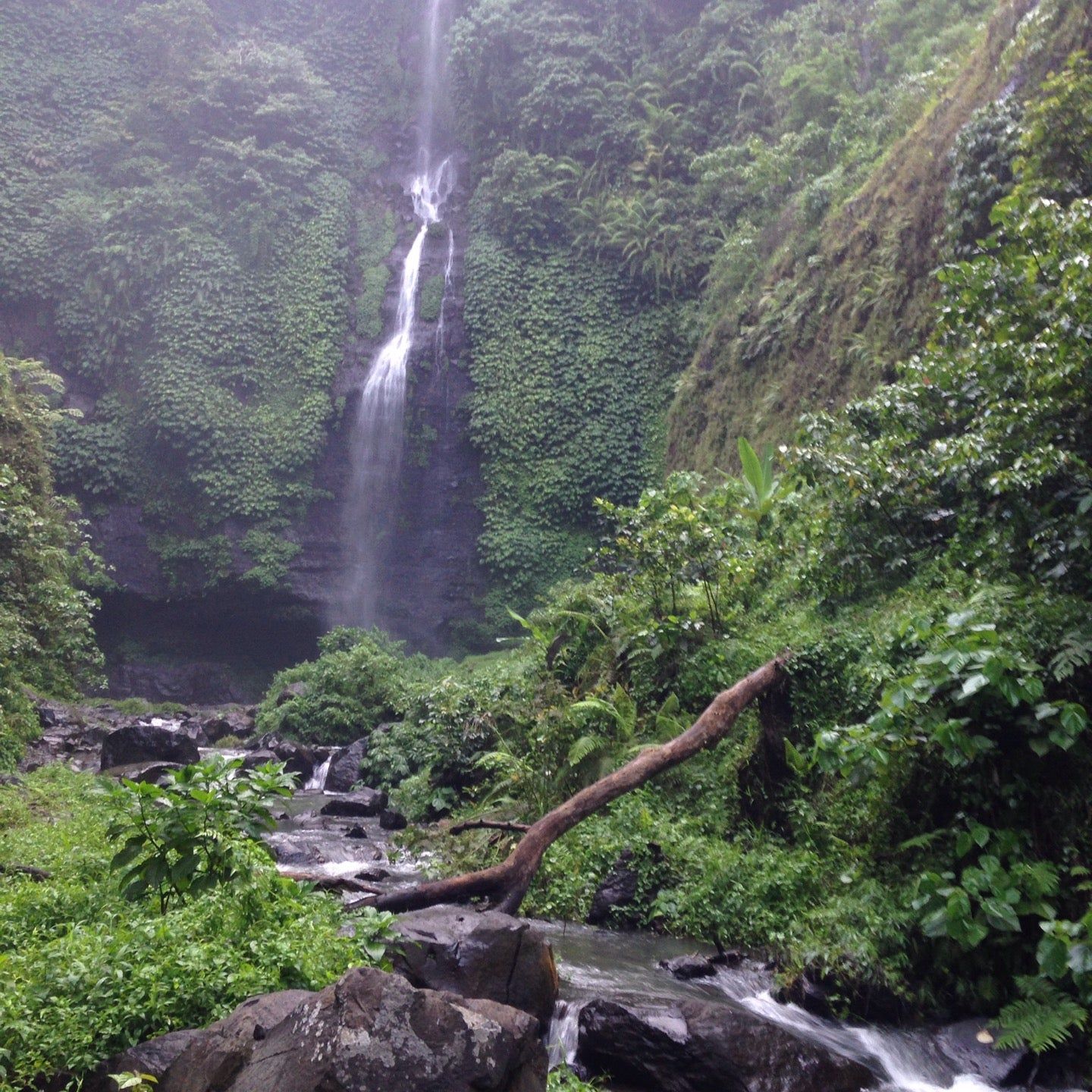 
Lemukih Waterfall
 in Buleleng