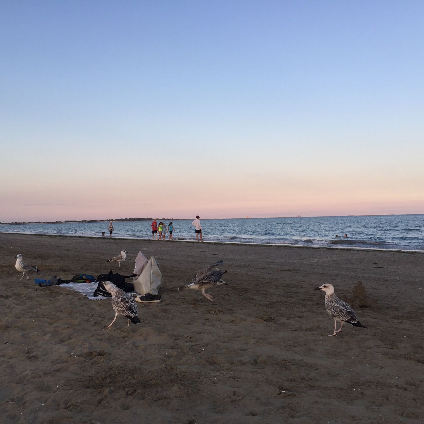 
Lido Beach
 in Venice-Lido