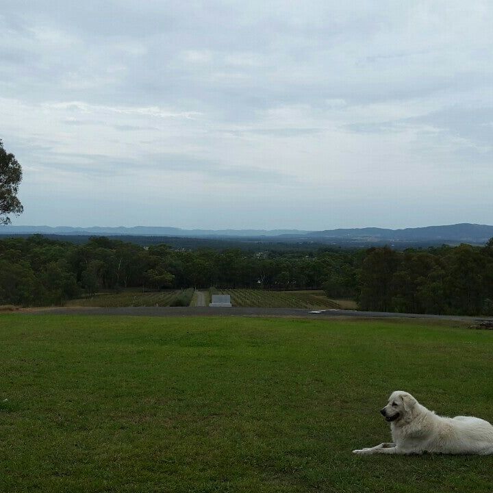 
Lillino's
 in Hunter Valley