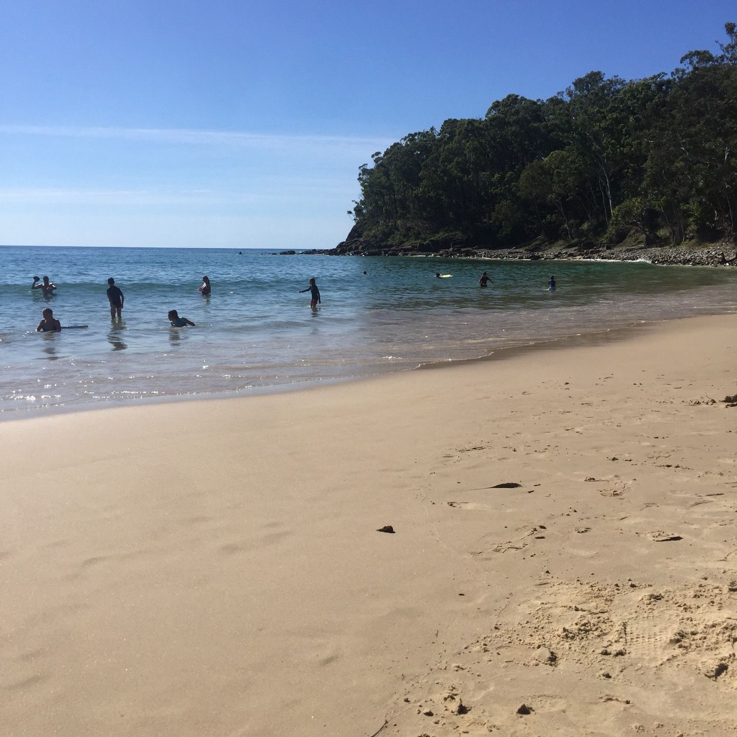 
Little Cove Beach
 in Noosa Heads