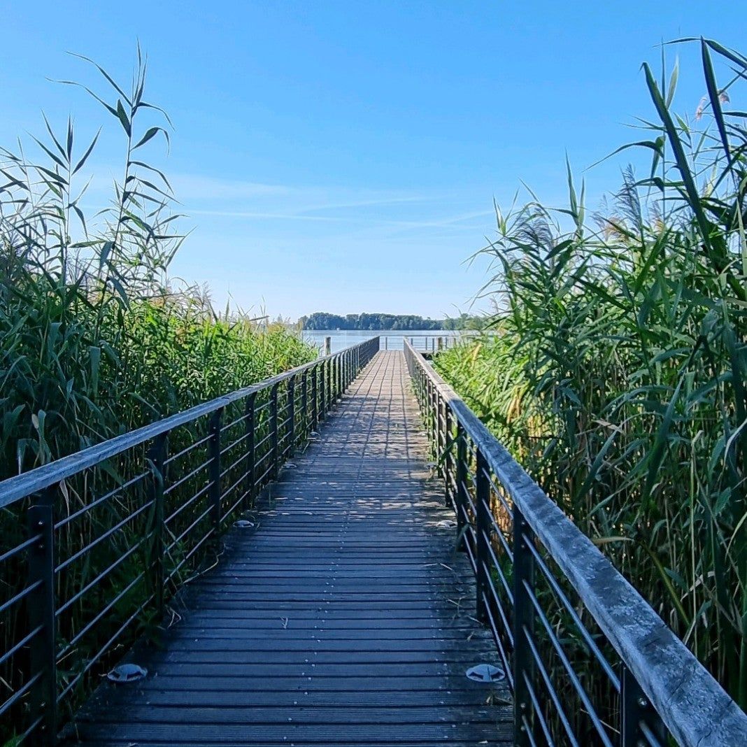 
Ludwig-Lesser-Promenade
 in Brandenburg