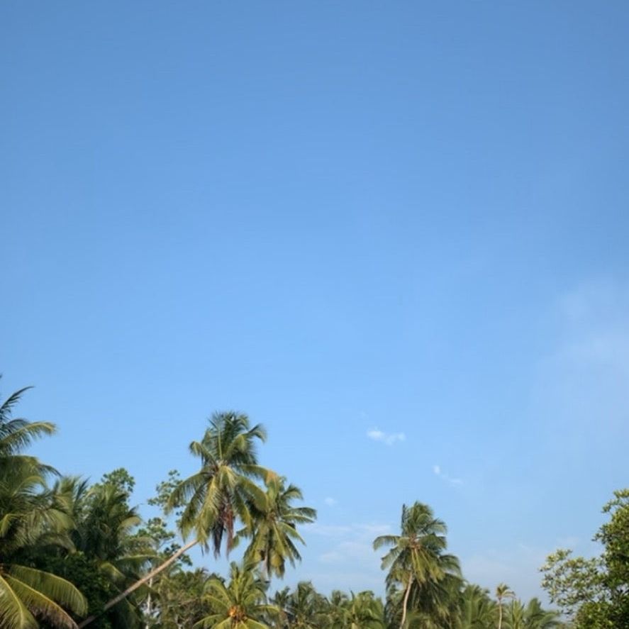 
Madhuma River Safari
 in Balapitiya