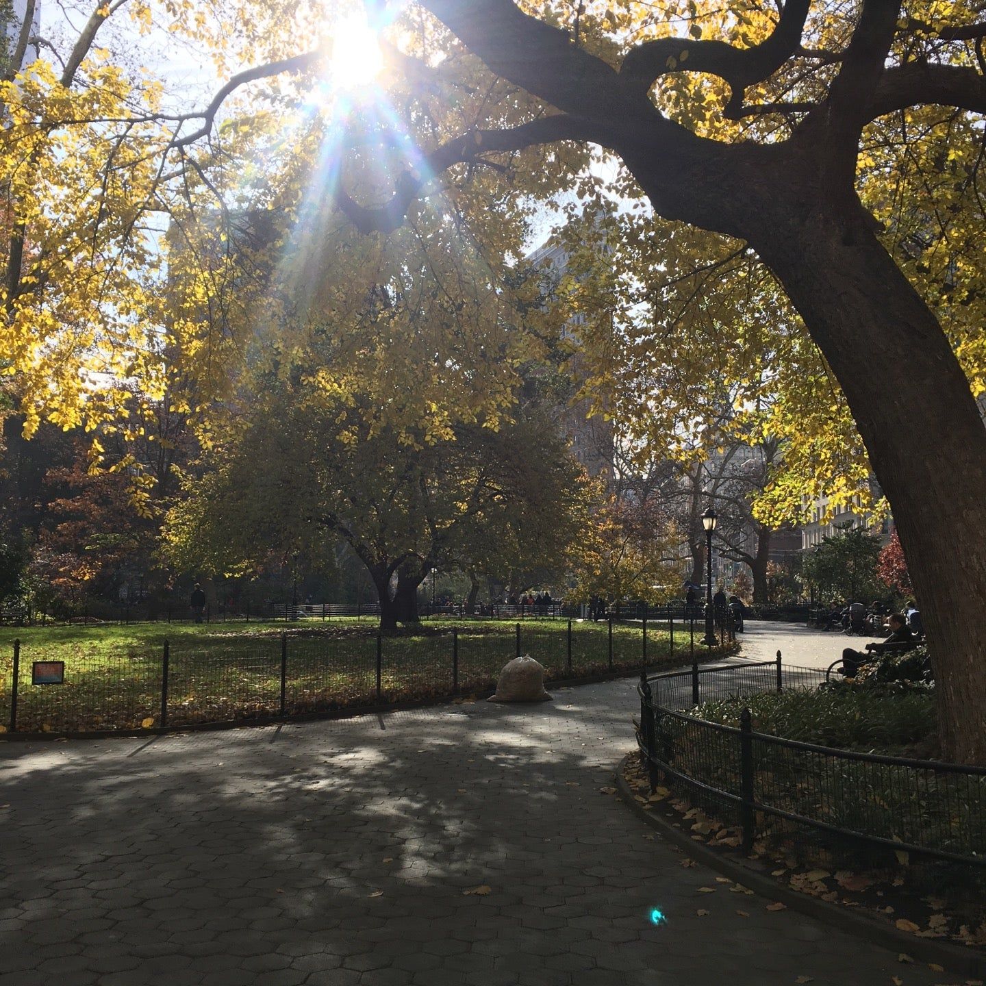 
Madison Square Park
 in New York